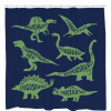 Know Your Dinos Shower Curtain