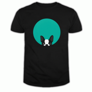 Boston Terrier