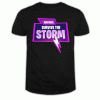 Fortnite Survive The Storm