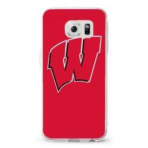 Wisconsin Badgers 22 Design Cases iPhone, iPod, Samsung Galaxy