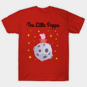 The Little Prince Mashup tee shirt