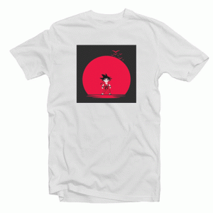 Dragon Ball tee shirt